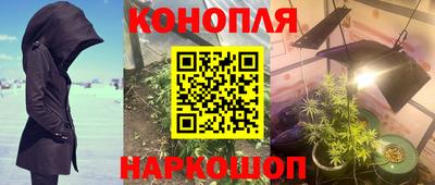 ALPHA PVP Ставрополь